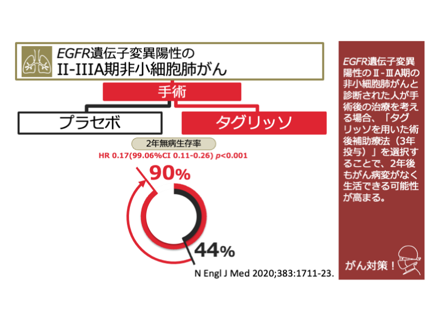 日本がん対策図鑑 | 【EGFR陽性肺がん：術後治療（2年DFS
