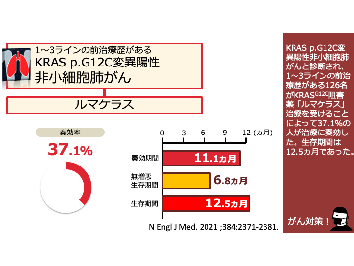 日本がん対策図鑑 | 【KRAS陽性肺がん：二次治療（OS）】ルマケラス