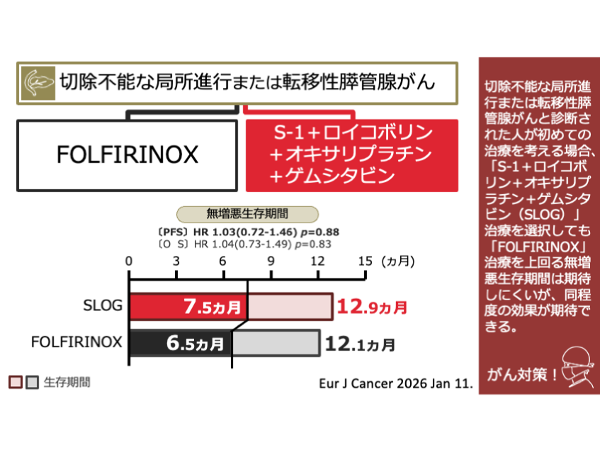 ロイ　臨床に役立つPNF ロイ 臨床に役立つPNF 商品詳細ページ | メディカルブックセンター